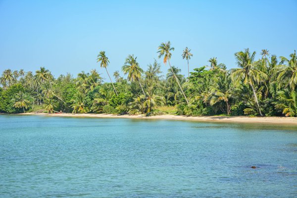 Découverte de la nature : itinéraire idéal pour les passionnés d'aventures en plein air