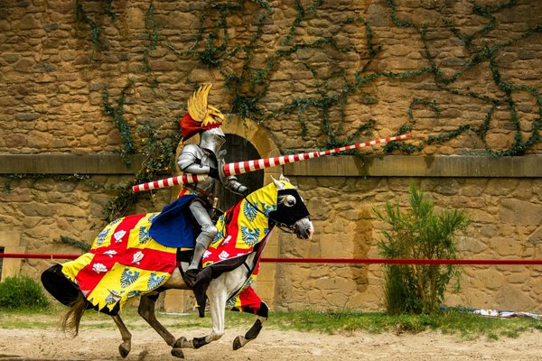 Acheter ses billets pour le puy du fou à prix réduit